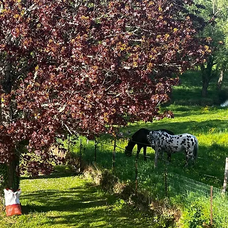 Rez De Jardin Pleine Nature Avec Jacuzzi Privatif * Saint-Seurin-d'Uzet