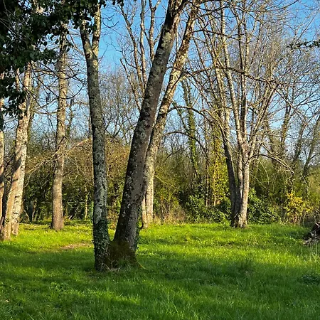 Appartamento Rez De Jardin Pleine Nature Avec Jacuzzi Privatif Saint-Seurin-d'Uzet